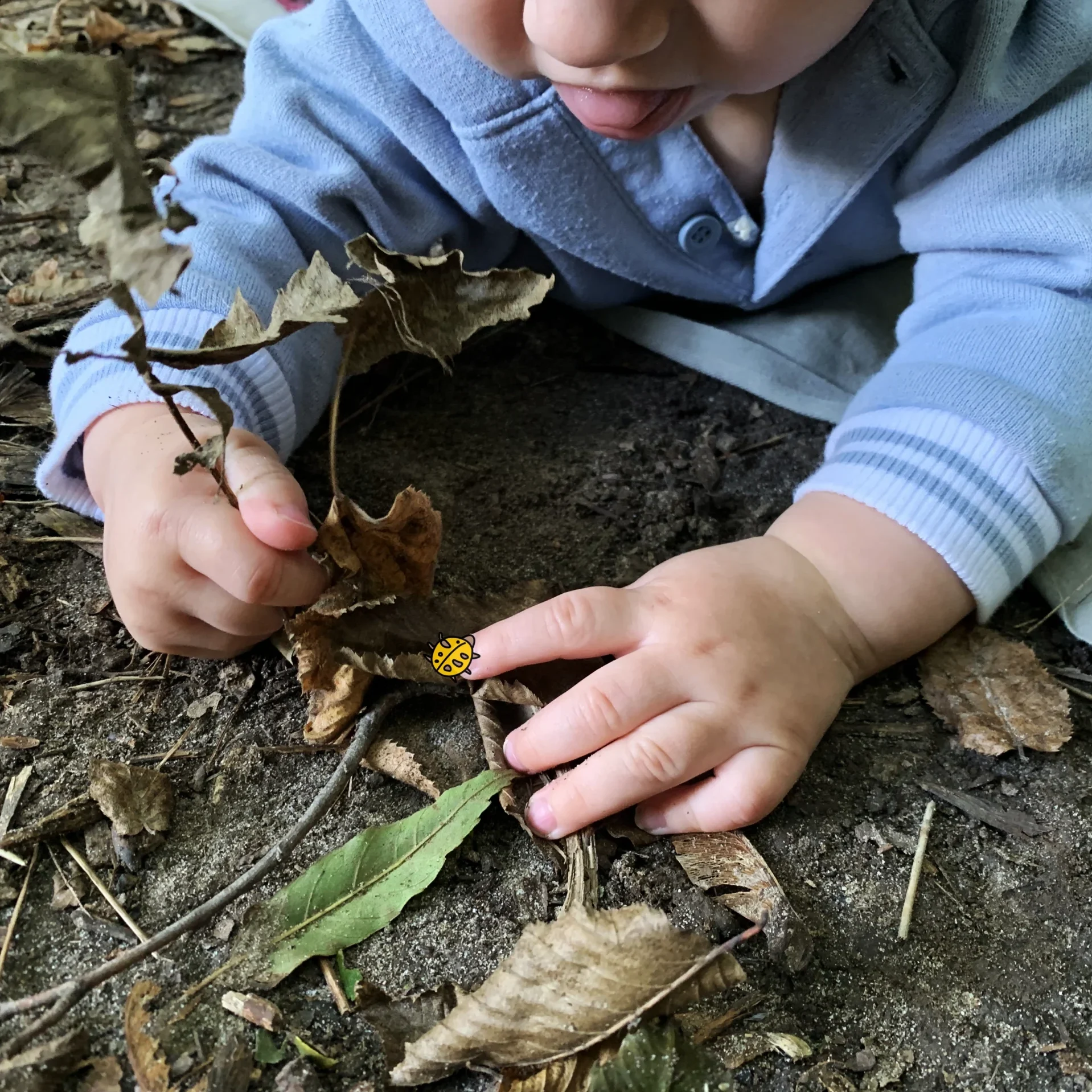 ENFANT QUI JOUE AVEC FEUILLE