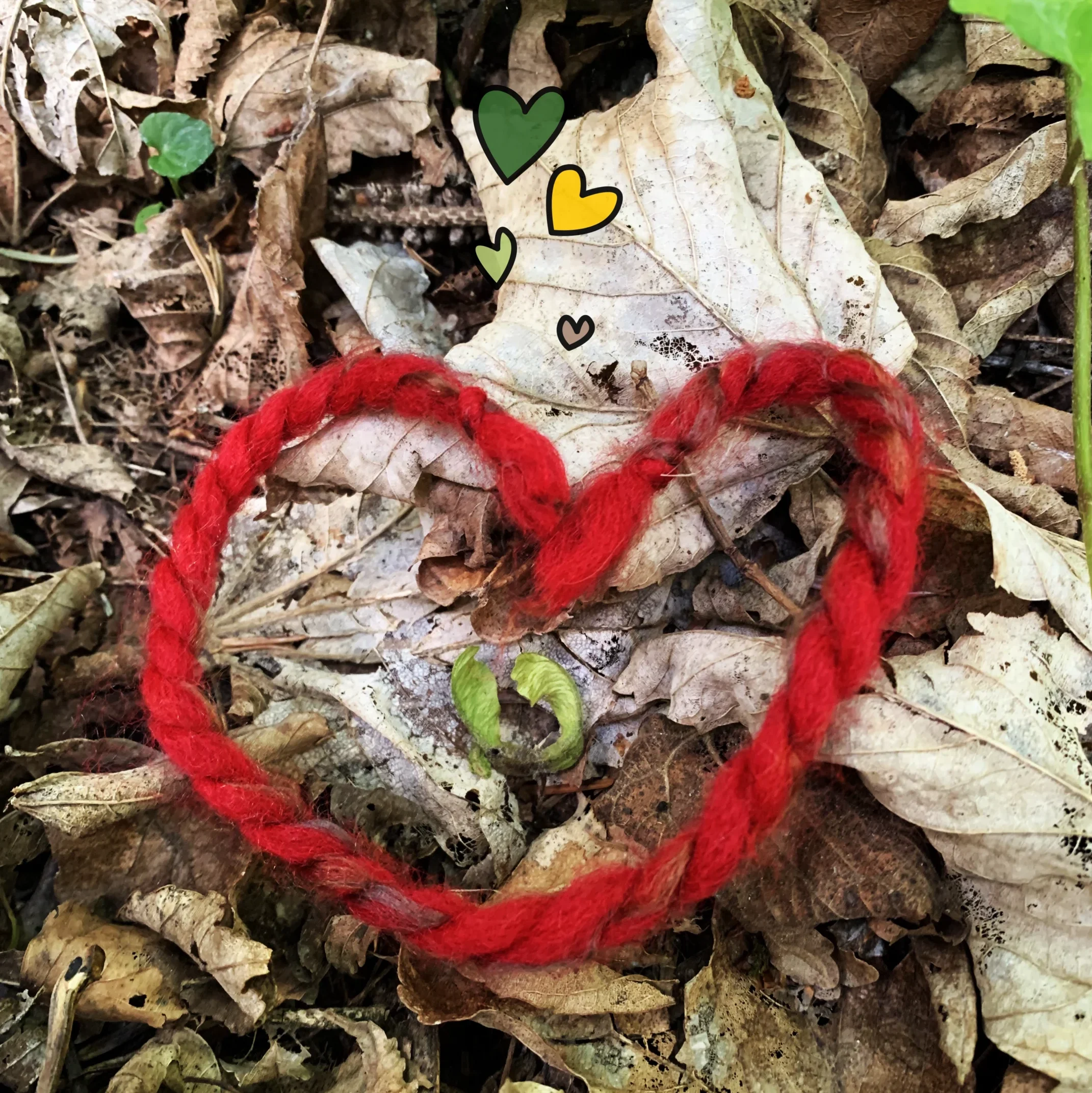 COEUR EN FICELLE